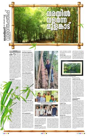 Weekend, 1 December 2024