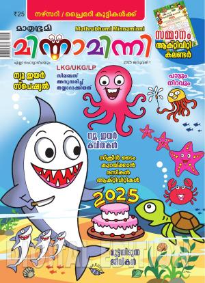 Minnaminni - 2025 January 1