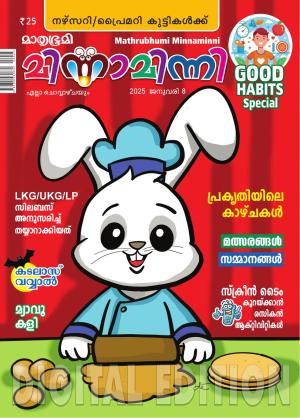 Minnaminni - 2025 January 8