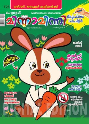 Minnaminni - 2025 January 15