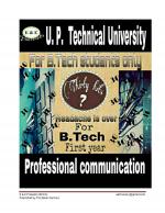 Professional Communication