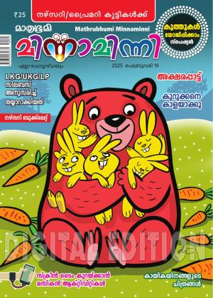 Minnaminni - 2025 February 19