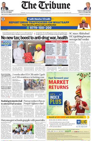 The Tribune