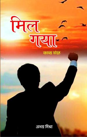 Mil Gaya मिल गया