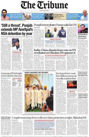 The Tribune