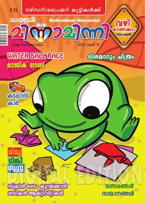 Minnaminni - 2025 May 14