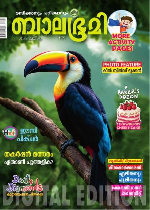 Balabhumi - 2025 May 30