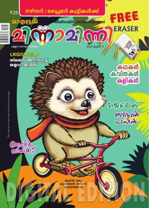 Minnaminni - 2025 June 11