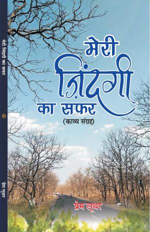 मेरी ज़िन्दगी का सफ़र (काव्य संग्रह) meri zindagi ka safar