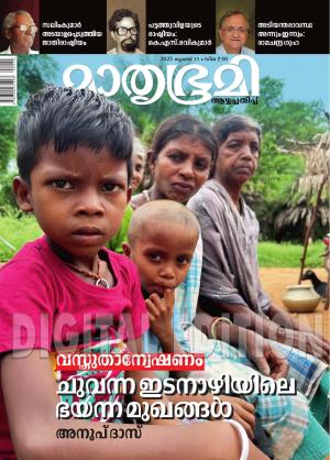 Weekly - 2025 July 13