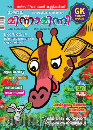 Minnaminni - 2025 July 30