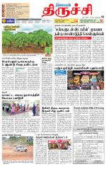 Trichy Supplement