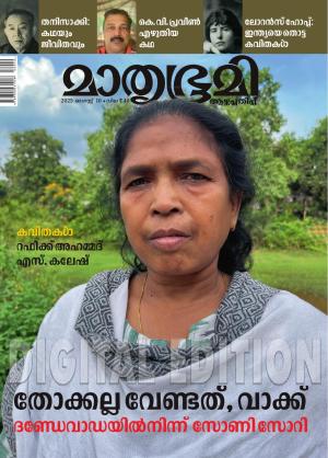 Weekly - 2025 August 10