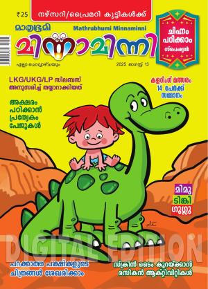 Minnaminni - 2025 August 13