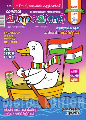 Minnaminni - 2025 August 20