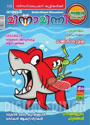 Minnaminni - 2025 August 27