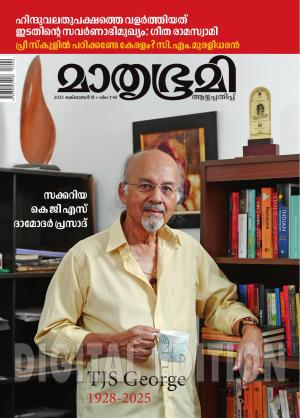 Weekly - 2025 October 19