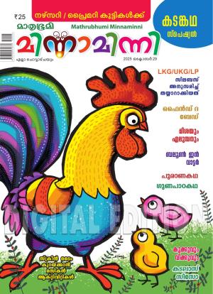 Minnaminni - 2025 October 29