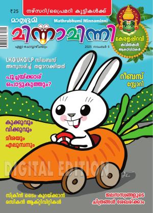 Minnaminni - 2025 November 5