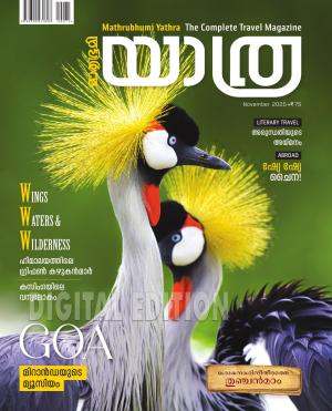 Yathra - 2025 November
