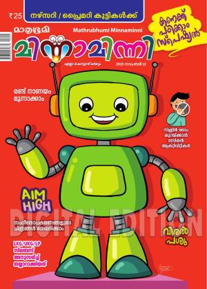 Minnaminni - 2025 November 12