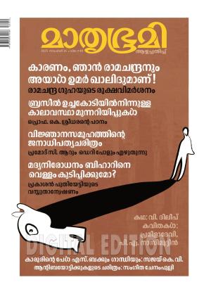 Weekly - 2025 November 16