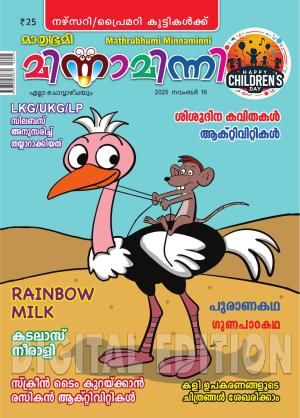 Minnaminni - 2025 November 19