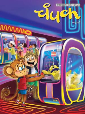 November  First 2025