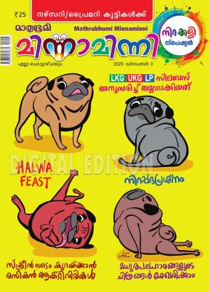 Minnaminni - 2025 December 3