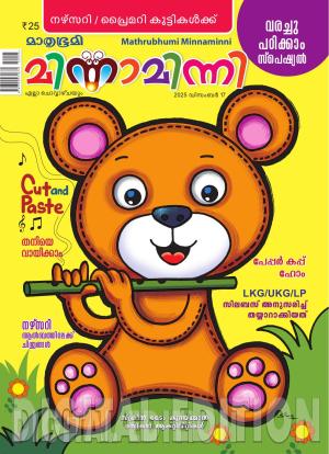 Minnaminni - 2025 December 17