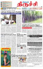 Trichy Supplement