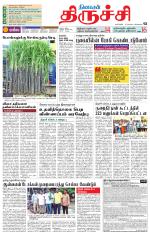Trichy Supplement