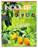 Indulge - Chennai