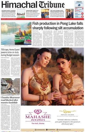 Himachal Tribune