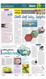 Life Edition