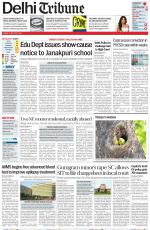 Delhi Tribune
