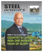 Steel Insights