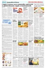 FPJ - Maharashtra Journal 