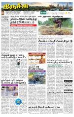 Trichy Supplement