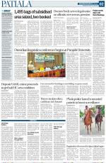 Patiala Page