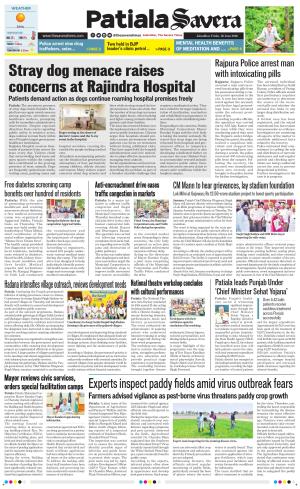 Patiala Savera 
