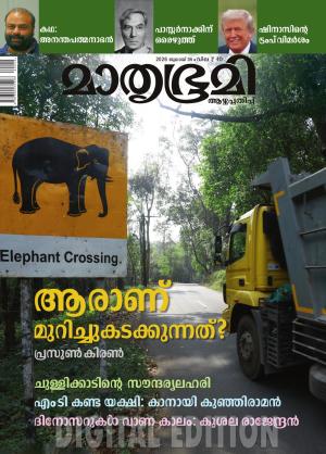 Weekly - 2026 July 5