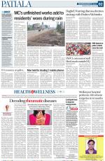 Patiala Page