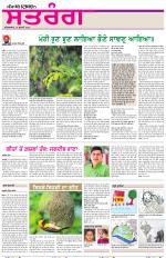 Saturday - Satrang