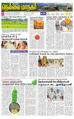 Nellai City-Tirunelveli Supplement