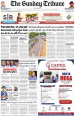 The Tribune