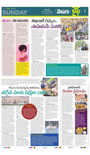Life Edition
