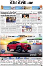 The Tribune