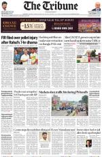 The Tribune