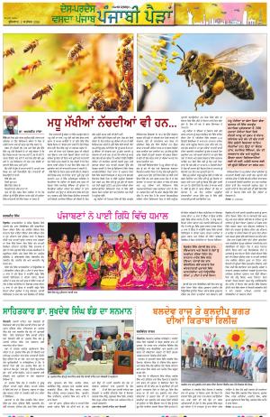 Punjabi Paidan (Des-Pardes Vasda Punjab/Punjabi Diaspora)